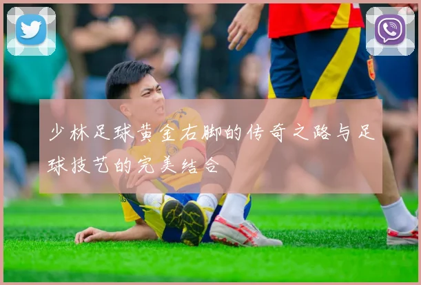 少林足球黄金右脚的传奇之路与足球技艺的完美结合