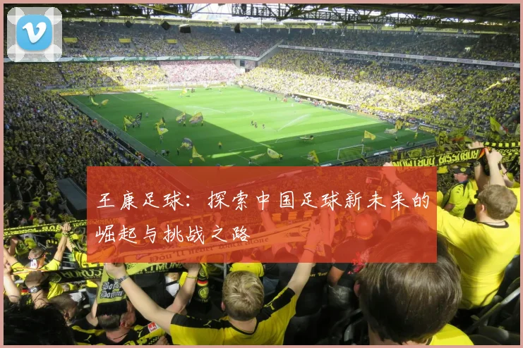 王康足球：探索中国足球新未来的崛起与挑战之路