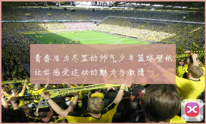 青春活力尽显的帅气少年篮球壁纸让你感受运动的魅力与激情