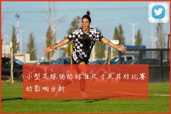 小型足球场的标准尺寸及其对比赛的影响分析