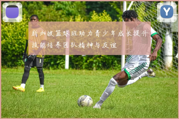 新加坡篮球班助力青少年成长提升技能培养团队精神与友谊